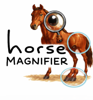 Horse Magnifier