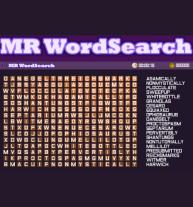 MR WordSearch